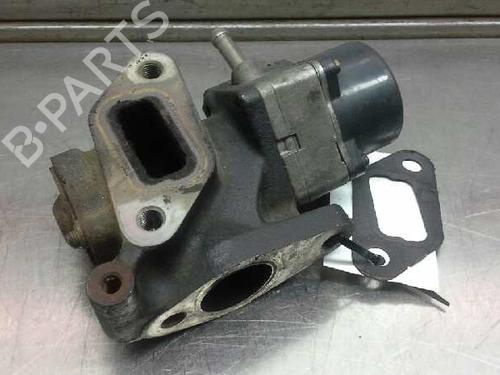 Egr NISSAN PATHFINDER III (R51)  | BP2964277M69 