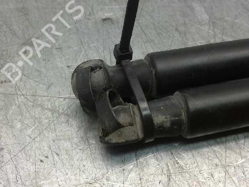 Tailgate lift support NISSAN QASHQAI / QASHQAI +2 I (J10, NJ10, JJ10E) 2.0 dCi | BP14313644C138 