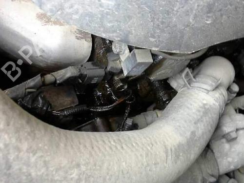 Engine mount HYUNDAI SANTA FÉ I (SM) 2.4 16V | BP14311015M89  - Image 11