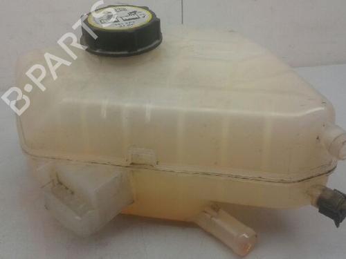 Expansion tank FORD FIESTA VI (CB1, CCN)  | BP7000813C120 