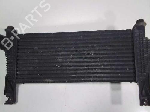 Intercooler NISSAN PATHFINDER III (R51)  | BP15681571M30 
