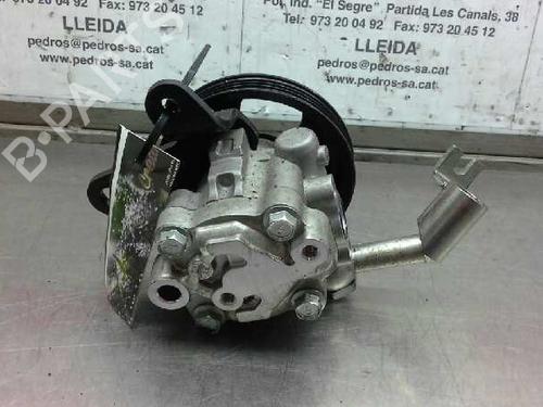 Steering pump NISSAN CABSTAR (F24M, F24W)  | BP12244352M99 