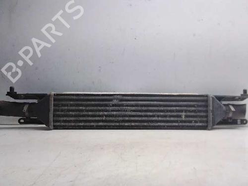 Used Intercooler FIAT PUNTO EVO (199_) [2008-2025]  10651339