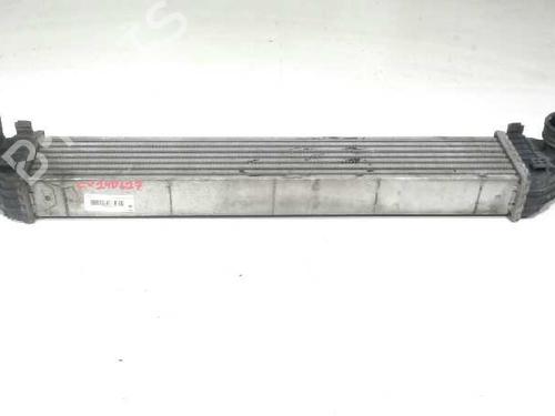 Used Intercooler MERCEDES-BENZ A-CLASS (W169) A 180 CDI (169.007, 169.307) (109 hp) 10654922