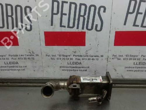 Used Egr RENAULT SCÉNIC II (JM0/1_) [2003-2010]  14310955