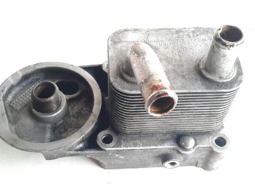 Used Oil radiator FORD FOCUS I (DAW, DBW) [1998-2009]  14321601
