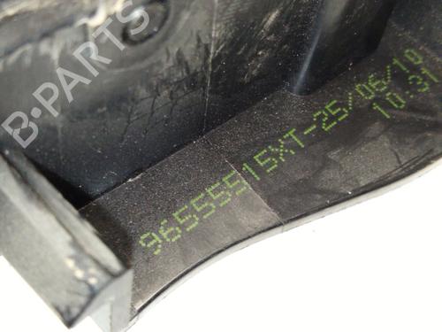 Puxador interior frente esquerdo PEUGEOT PARTNER Box Body/MPV (5_, G_) 1.6 HDi 90 | BP30938674I13