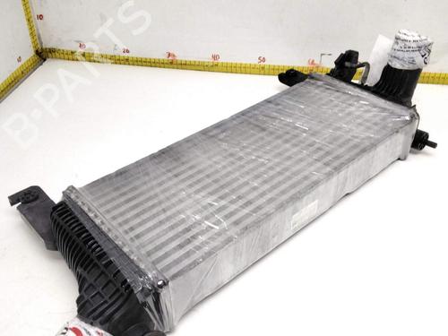 Intercooler NISSAN PATHFINDER III (R51) | BP15681571M30 - Image 5
