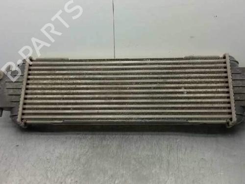 Intercooler RENAULT TRAFIC II Van (FL) 1.9 dCi 100 (FL0C, FL0K, FL0B) | BP612655M30 - Image 2