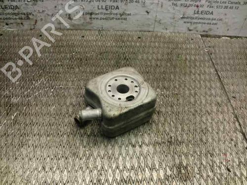Oliekøler VW POLO (9N_, 9A_)  | BP14319787M33 