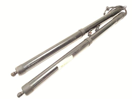 Used Tailgate lift support LAND ROVER RANGE ROVER EVOQUE (L538) 2.0 4x4 (241 hp) 29284921