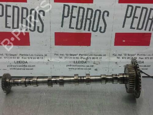 Used Other NISSAN QASHQAI II (J11, J11_) 1.6 dCi (130 hp) 14937504