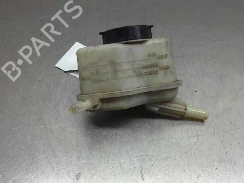Used Power steering reservoir NISSAN MURANO II (Z51) [2007-2014]  14313873