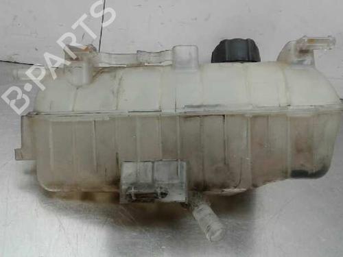 Used Expansion tank RENAULT KANGOO (KC0/1_) [1997-2025]  7000831