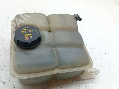 Used Expansion tank FORD TRANSIT CONNECT V408 Box Body/MPV 1.6 TDCi (95 hp) 25909863