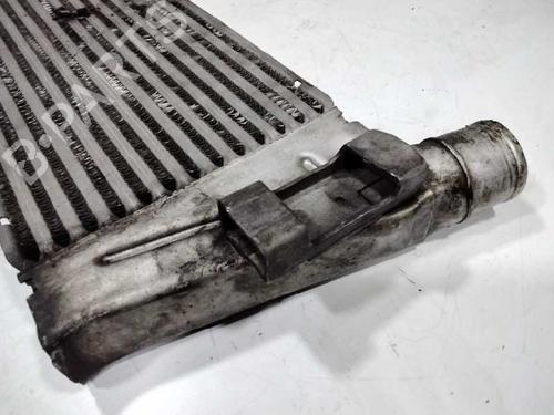 Intercooler RENAULT MEGANE II (BM0/1_, CM0/1_)  | BP10655887M30 