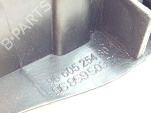 Front left interior door handle CITROËN C4 II (NC_) 1.6 HDi 110 | BP22737891I13 