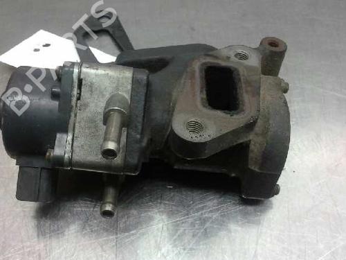 Egr NISSAN PATHFINDER III (R51)  | BP2964277M69 