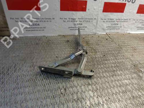 Used Hinge/Door check strap VW GOLF V (1K1) 1.9 TDI (105 hp) 14319959