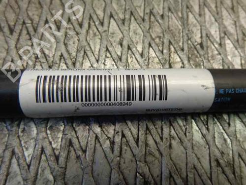 Tailgate lift support CITROËN C4 I (LC_)  | BP14319843C138 