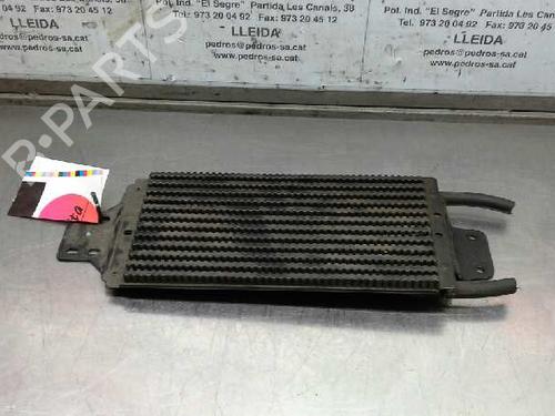 Used Water radiator NISSAN CABSTAR E (TL_, VL_) [1992-2006]  12202713