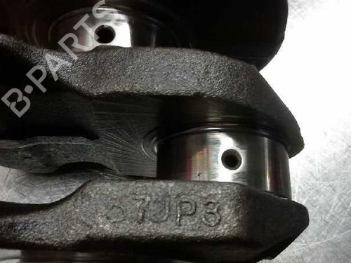 Other NISSAN PRIMERA Hatchback (P11)  | BP14310850O1 