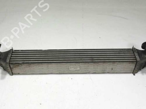 Used Intercooler SEAT IBIZA IV (6J5, 6P1) [2008-2017]  10655840