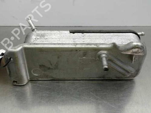Oil radiator MERCEDES-BENZ M-CLASS (W163)  | BP14314964M33 