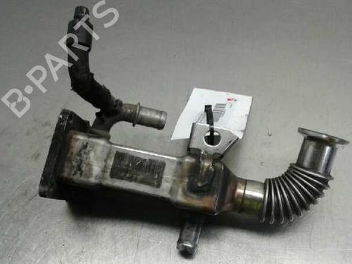 Used Egr RENAULT SCÉNIC II (JM0/1_) 1.9 dCi (JM0G, JM12, JM1G, JM2C) (120 hp) 14314245