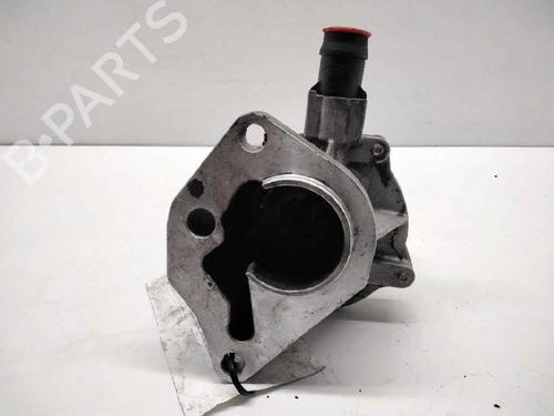 Vacuum pump RENAULT KANGOO (KC0/1_) 1.5 dCi | BP1619474M80 