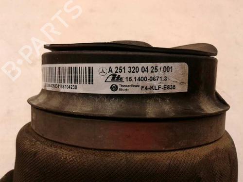 Left rear shock absorber MERCEDES-BENZ R-CLASS (W251, V251)  | BP14316481M18 