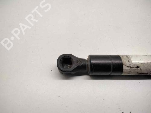 Tailgate lift support RENAULT TWINGO I (C06_)  | BP14320105C138 