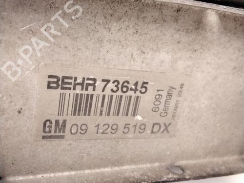 Intercooler OPEL ZAFIRA A MPV (T98)  | BP10655846M30 