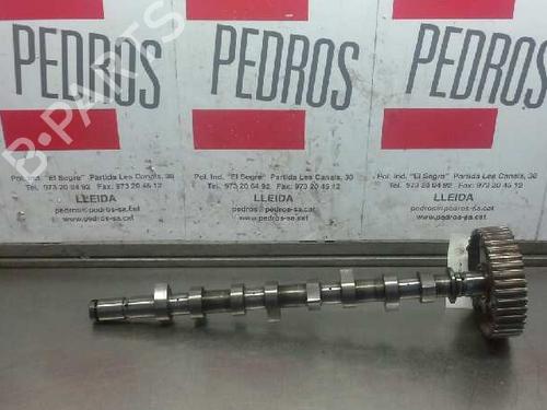 Used Other RENAULT MEGANE II (BM0/1_, CM0/1_) [2001-2012]  14311360