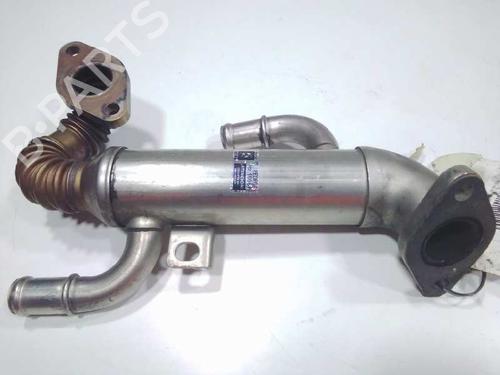Egr SEAT IBIZA III (6L1)  | BP14310496M69
