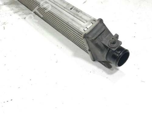 Intercooler FIAT DOBLO Cargo (263_)  | BP10651338M30 