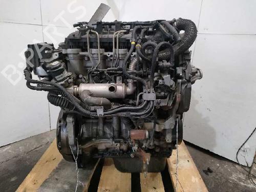 Used Engine FORD C-MAX (DM2) 1.6 TDCi (90 hp) 11026900