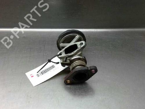 Egr SEAT IBIZA III (6L1)  | BP612576M69 