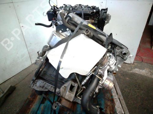 Used Engine OPEL FRONTERA B (U99) 2.2 DTI (6B_ZC, 6B_VF, 6B_66, 6B_76) (116 hp) 30287618