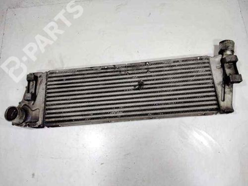 Used Intercooler Intercooler RENAULT MEGANE II Saloon (LM0/1_) 1.9 dCi (LM0G, LM1G, LM2C) (120 hp) 10655887 10655887