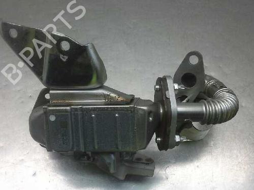 Egr NISSAN JUKE (F15)  | BP14315383M69 