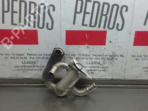 EGR-Ventil FIAT DOBLO MPV (119_, 223_) [2001-2025]  14310113