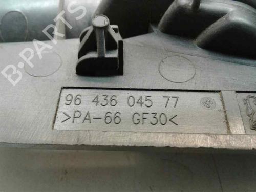 Front left interior door handle PEUGEOT 307 (3A/C)  | BP9248389I13 