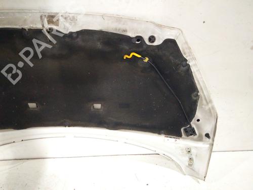Hood PEUGEOT 308 I (4A_, 4C_)  | BP18012477C1 