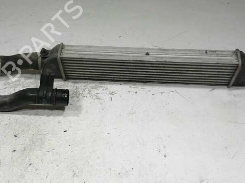 Intercooler FIAT DOBLO Cargo (263_)  | BP10651338M30 