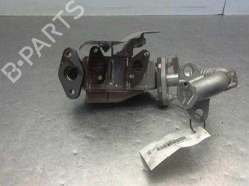 EGR-Ventil NISSAN JUKE (F15) [2010-2019]  14315286
