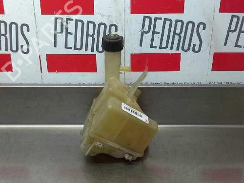 Used Expansion tank RENAULT LAGUNA II (BG0/1_) [2001-2007]  1620501