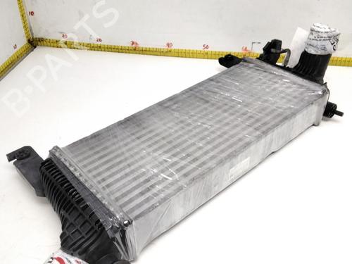 Intercooler NISSAN PATHFINDER III (R51)  | BP15681571M30 