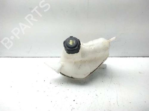 Used Expansion tank NISSAN QASHQAI II SUV (J11, J11_) [2013-2025]  3243979