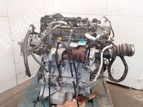 Motor Motor FORD FOCUS IV (HN) 1.5 EcoBlue (116 hp) 36533147 36533147